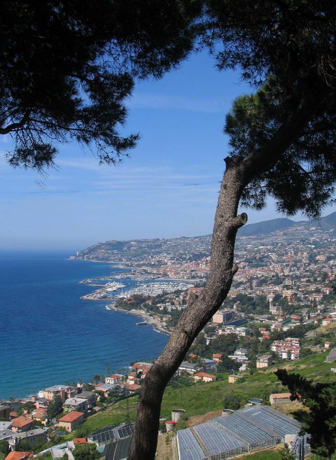 Maison Du Port Vieux Apartment Sanremo Luaran gambar
